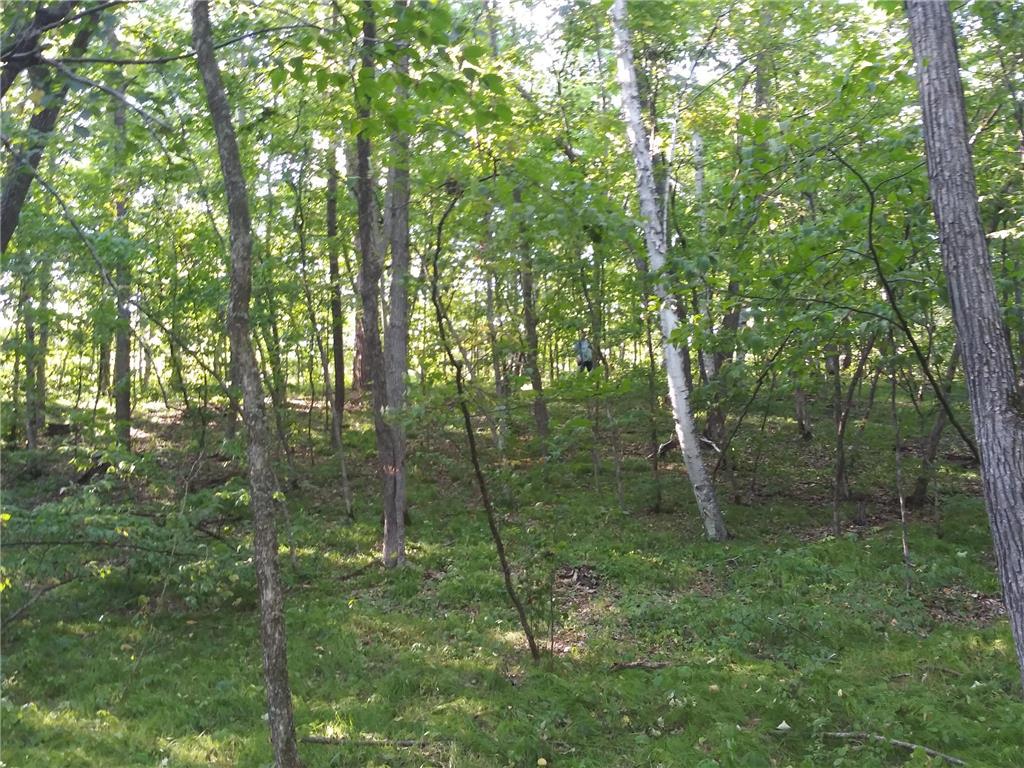 23847 Arcade Loop Crow Wing Lake Twp MN 56464 - Crow Wing River 7021715 image7