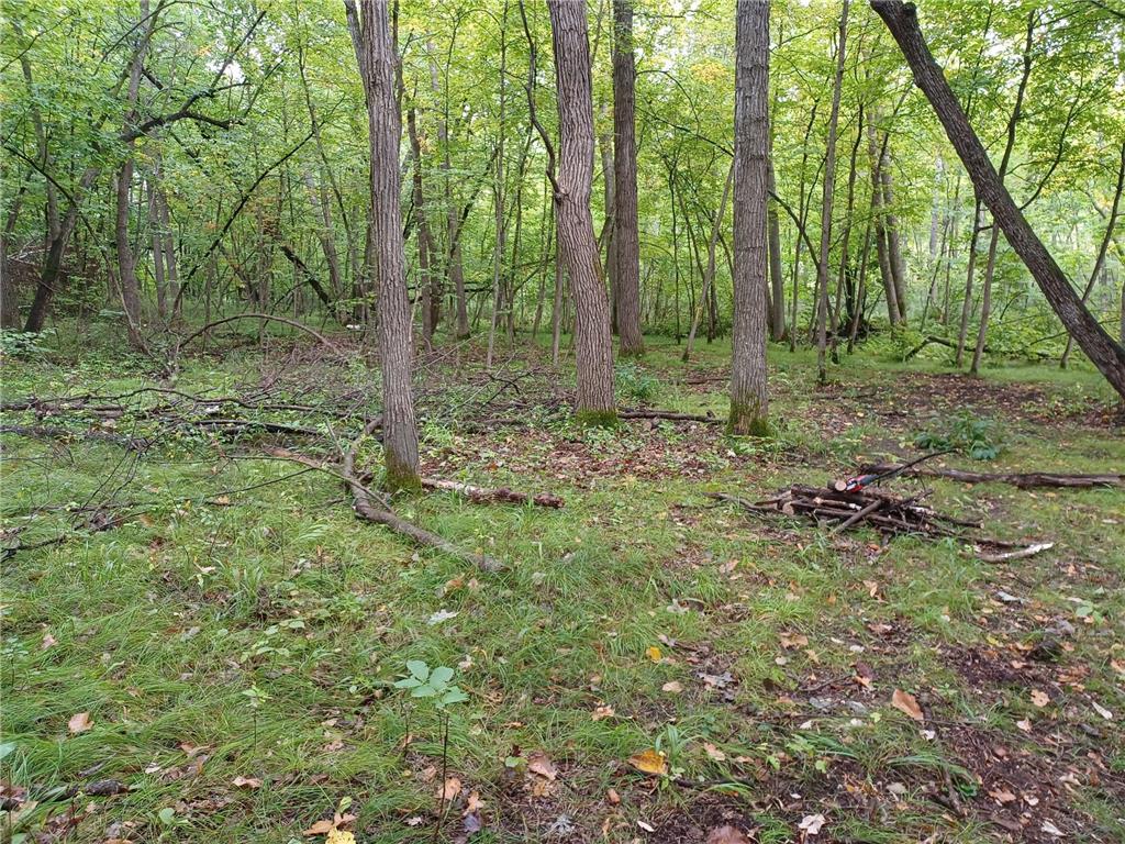 23847 Arcade Loop Crow Wing Lake Twp MN 56464 - Crow Wing River 7021715 image9