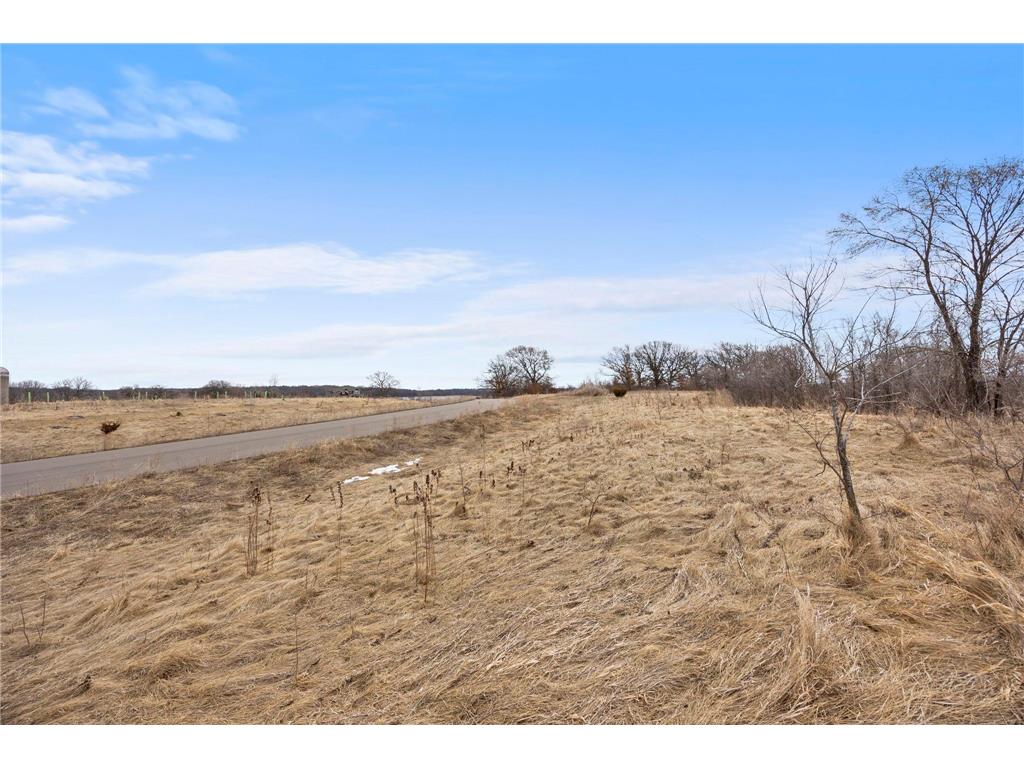 23858 Hall Drive New Market Twp MN 55044 7037908 image4