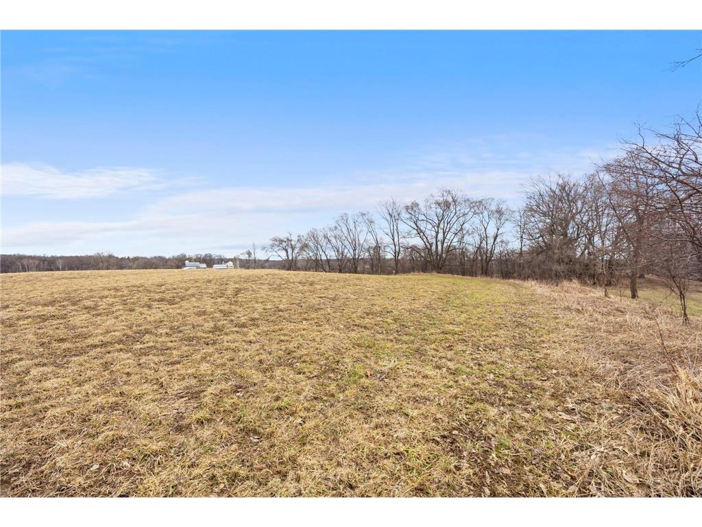 23858 Hall Drive New Market Twp MN 55044 7037908 image5