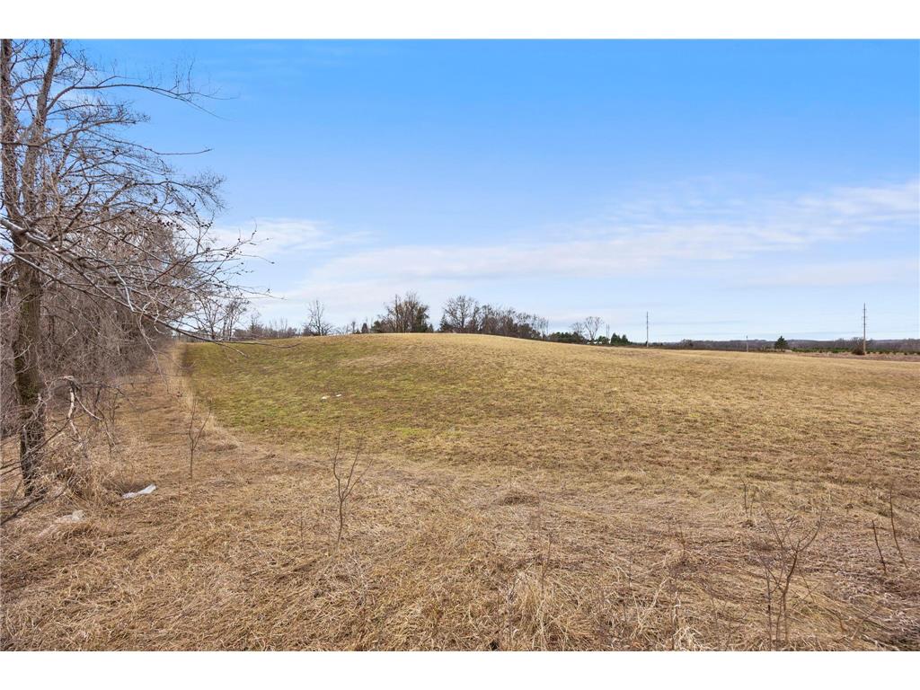 23858 Hall Drive New Market Twp MN 55044 7037908 image6