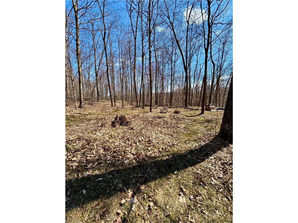 2388 108th Street Luck WI 54853 - Bone Lake 7058431 image25