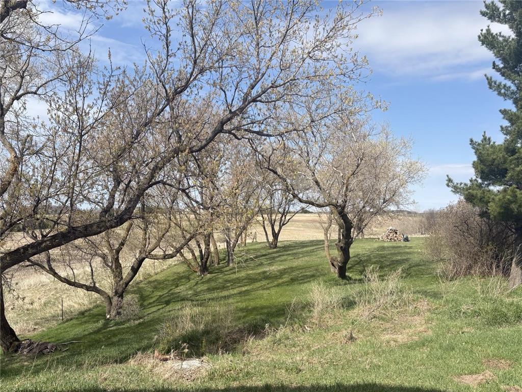 23889 Co Hwy 1 Fergus Falls MN 56537 7068233 image29
