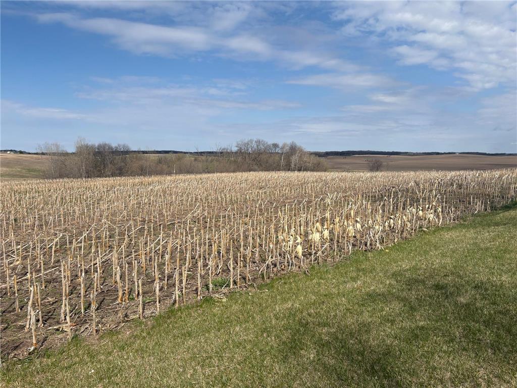 23889 County Hwy 1 Fergus Falls MN 56537 7068207 image27