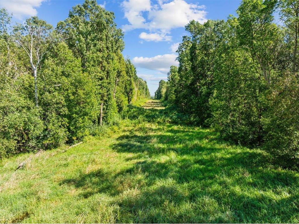 2389 US Highway 63 Forest Twp WI 54005 6597317 image8