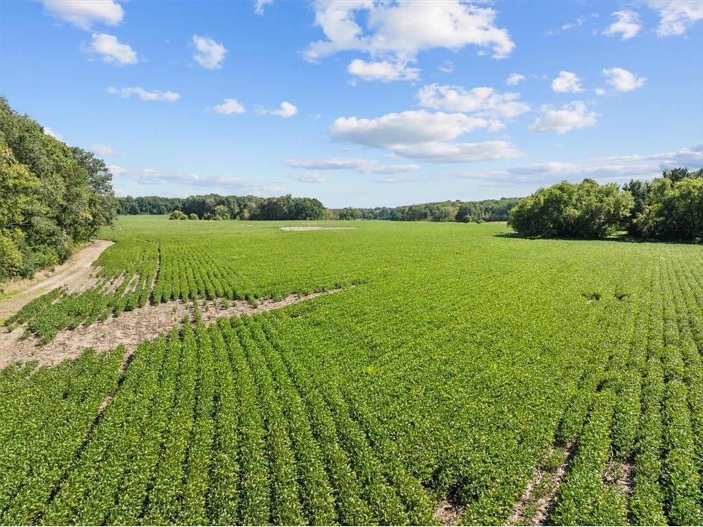 2389 US Highway 63 Forest Twp WI 54005 7052618 image9