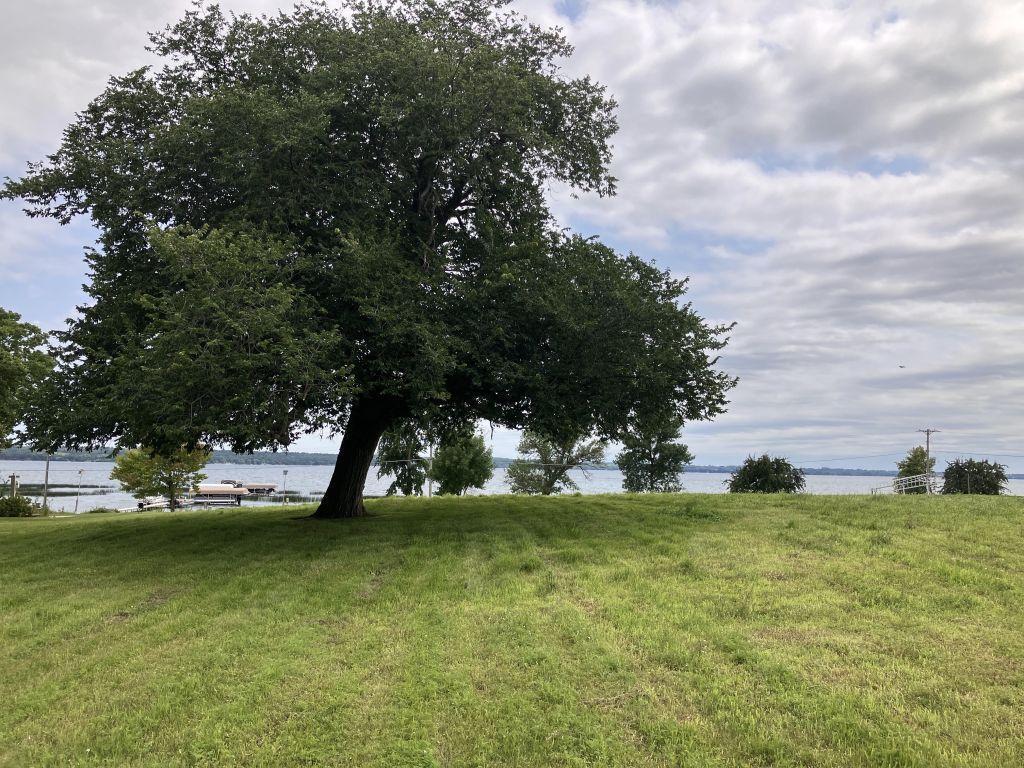 238XX N Lake Shore Drive Glenwood MN 56334 - Minnewaska 6790629 image12