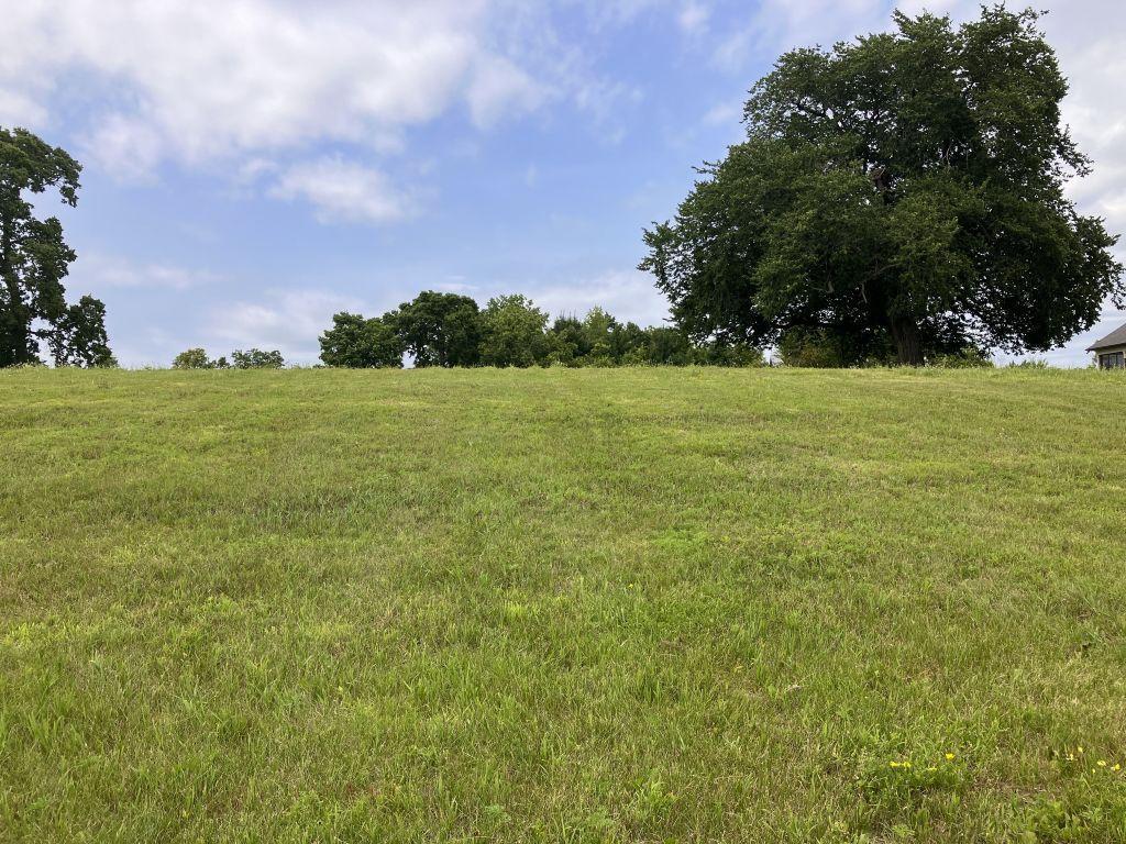 238XX N Lake Shore Drive Glenwood MN 56334 - Minnewaska 6790629 image17