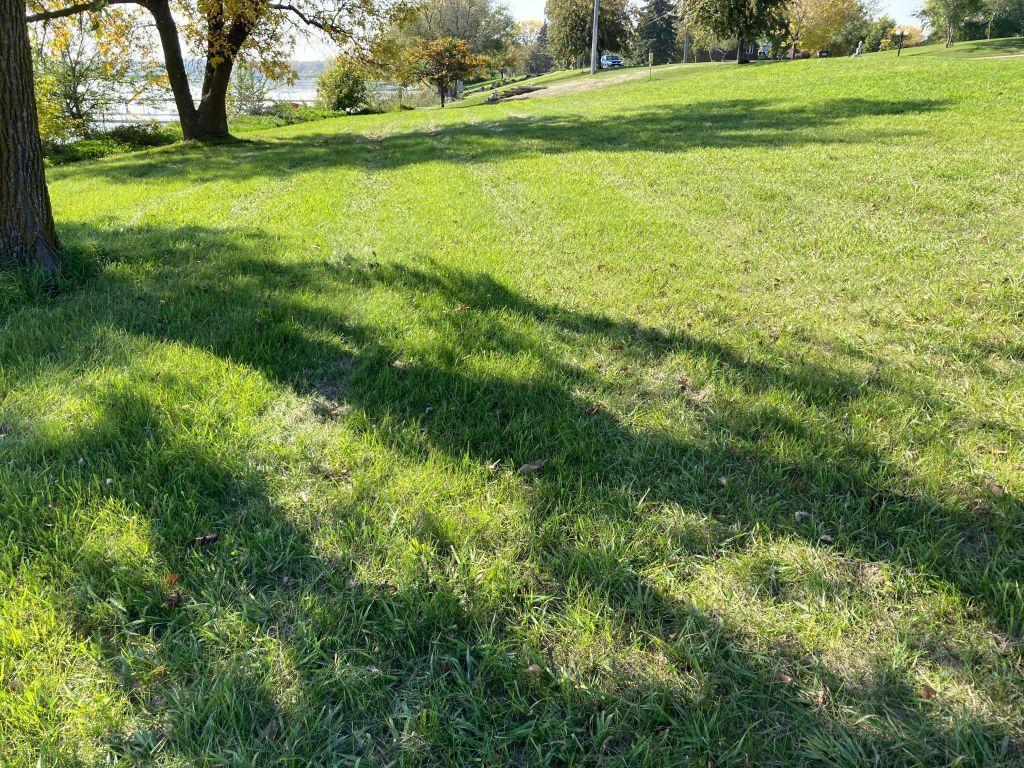 238XX N Lake Shore Drive Glenwood MN 56334 - Minnewaska 6790629 image8