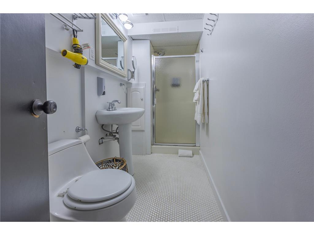 239 Byrondale Avenue Wayzata MN 55391 6802916 image26