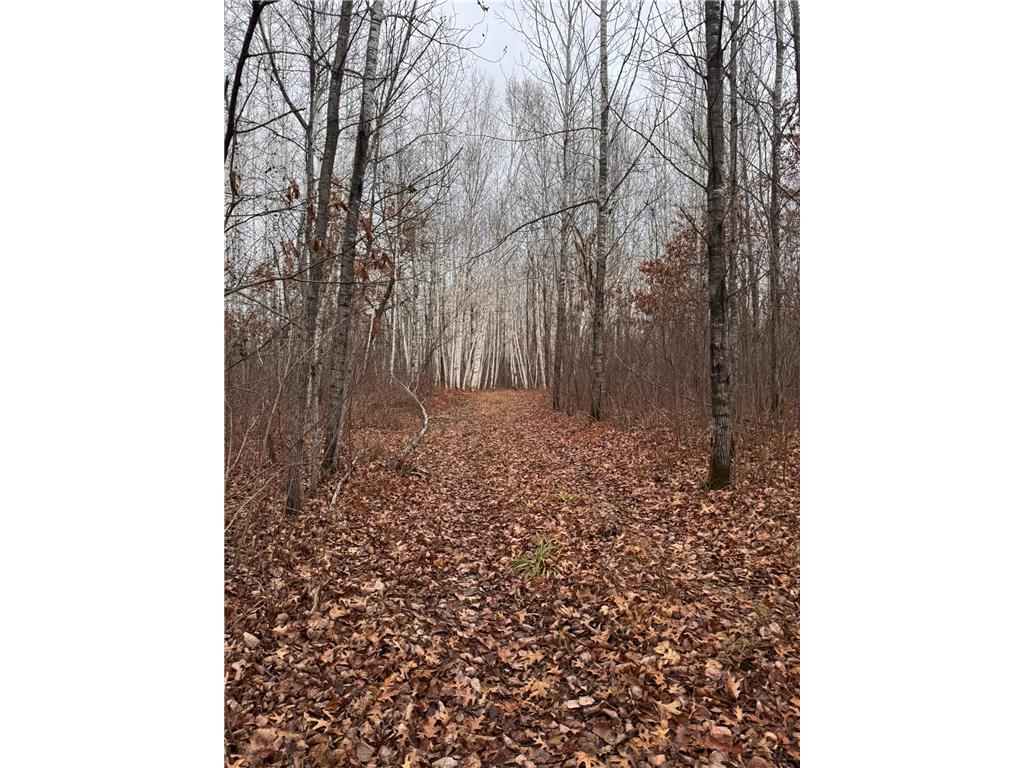 239 County 49 NW Ponto Lake Twp MN 56474 6822130 image104