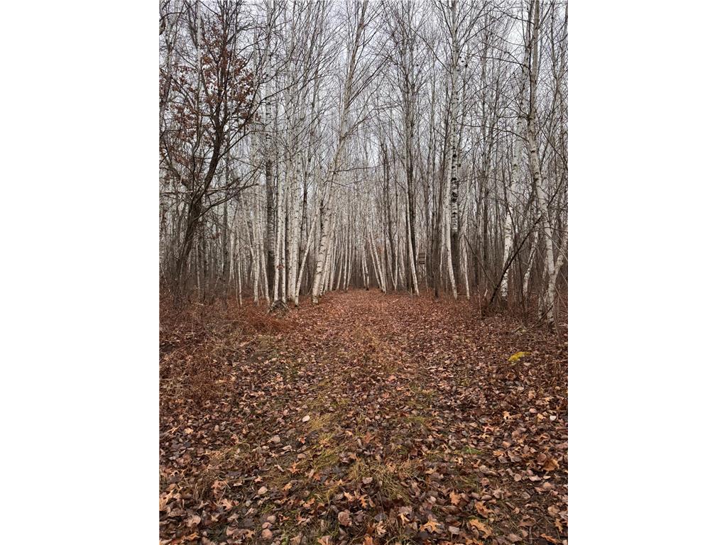 239 County 49 NW Ponto Lake Twp MN 56474 6822130 image105