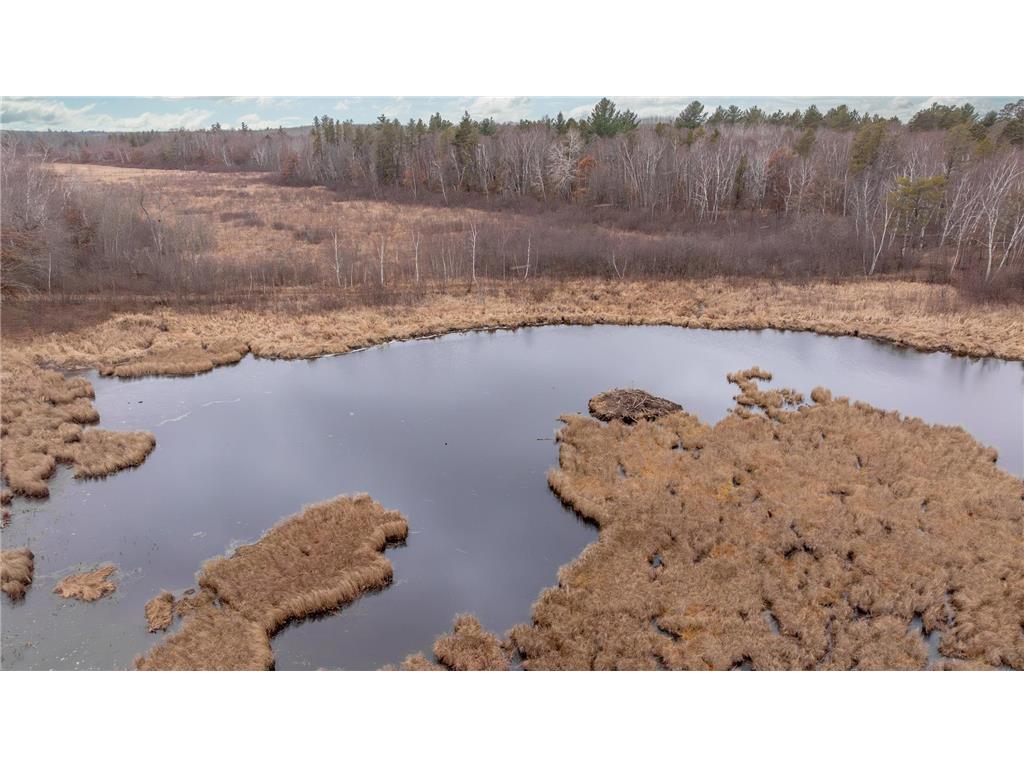 239 County 49 NW Ponto Lake Twp MN 56474 6822130 image13