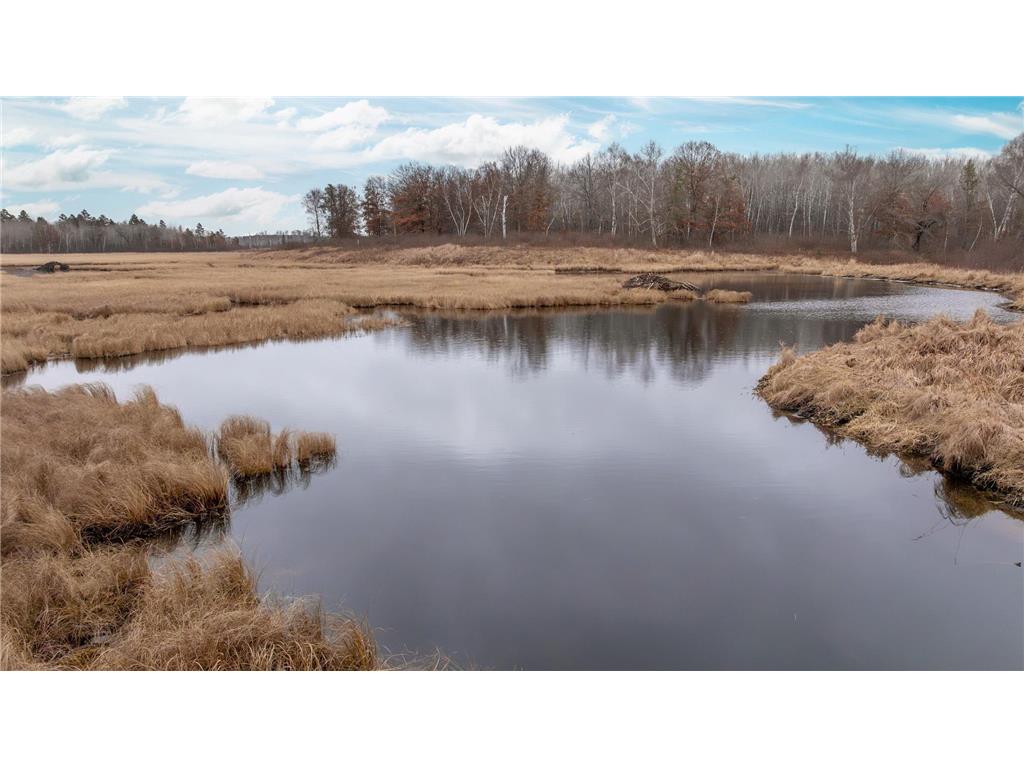 239 County 49 NW Ponto Lake Twp MN 56474 6822130 image15