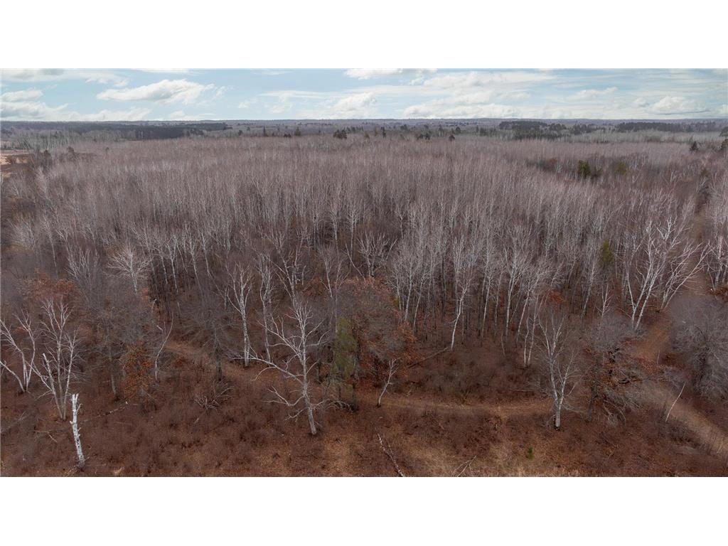 239 County 49 NW Ponto Lake Twp MN 56474 6822130 image16