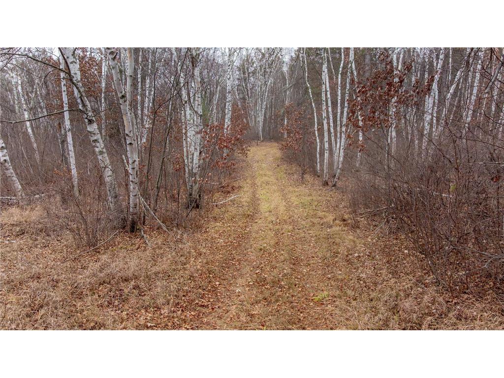 239 County 49 NW Ponto Lake Twp MN 56474 6822130 image18