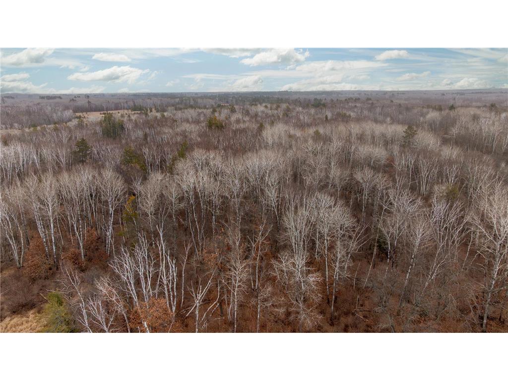 239 County 49 NW Ponto Lake Twp MN 56474 6822130 image19