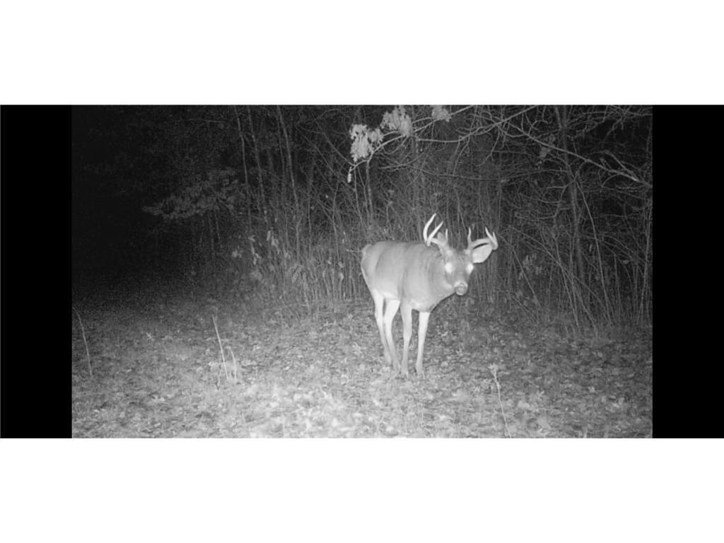 239 County 49 NW Ponto Lake Twp MN 56474 6822130 image63