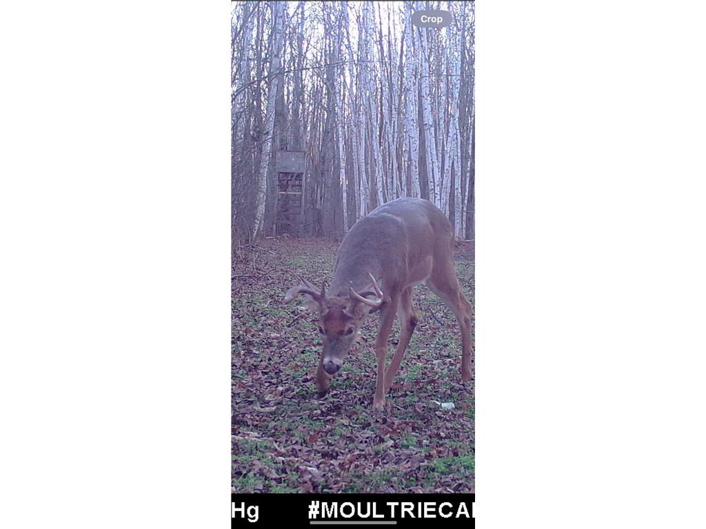 239 County 49 NW Ponto Lake Twp MN 56474 6822130 image65