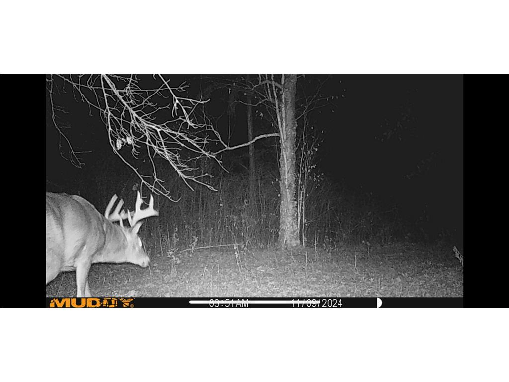 239 County 49 NW Ponto Lake Twp MN 56474 6822130 image66