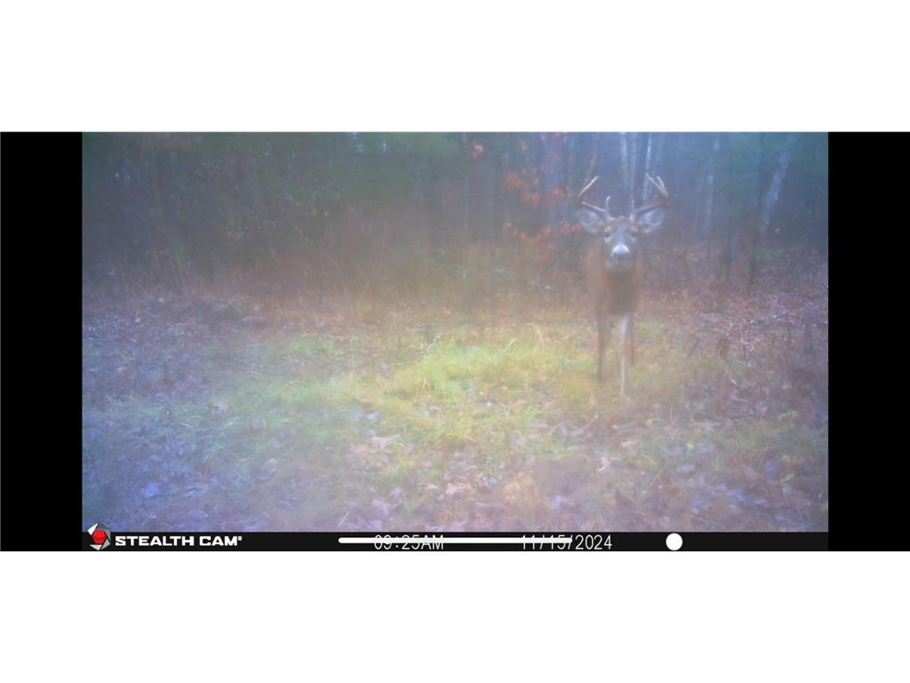 239 County 49 NW Ponto Lake Twp MN 56474 6822130 image68