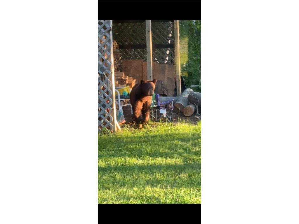 239 County 49 NW Ponto Lake Twp MN 56474 6822130 image70