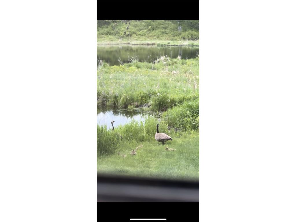 239 County 49 NW Ponto Lake Twp MN 56474 6822130 image71