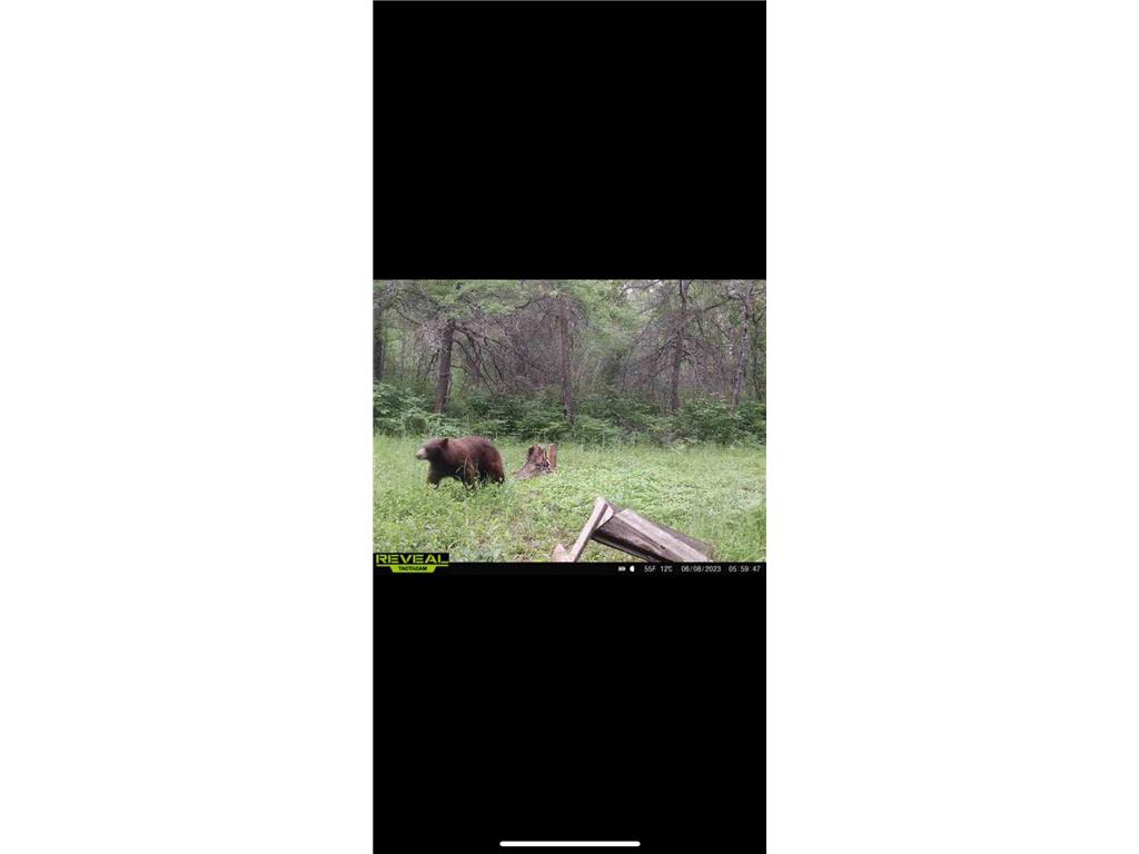 239 County 49 NW Ponto Lake Twp MN 56474 6822130 image75