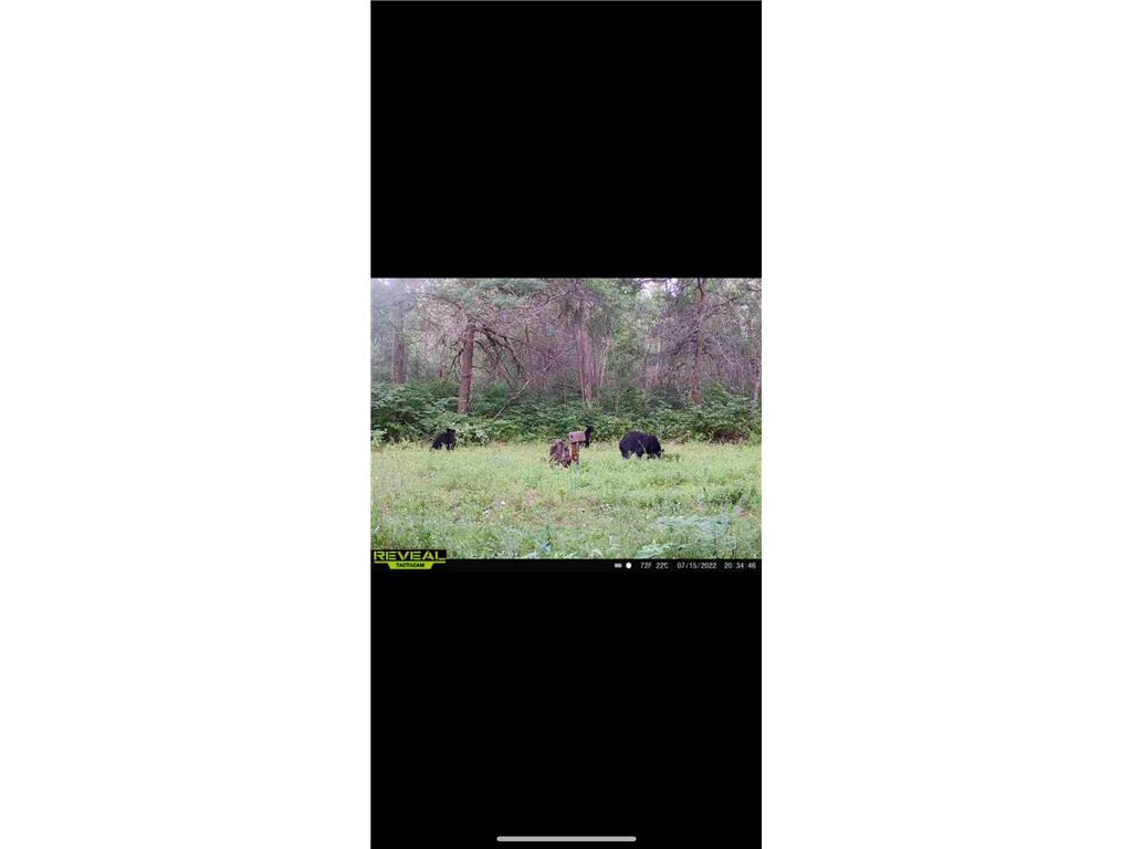 239 County 49 NW Ponto Lake Twp MN 56474 6822130 image81