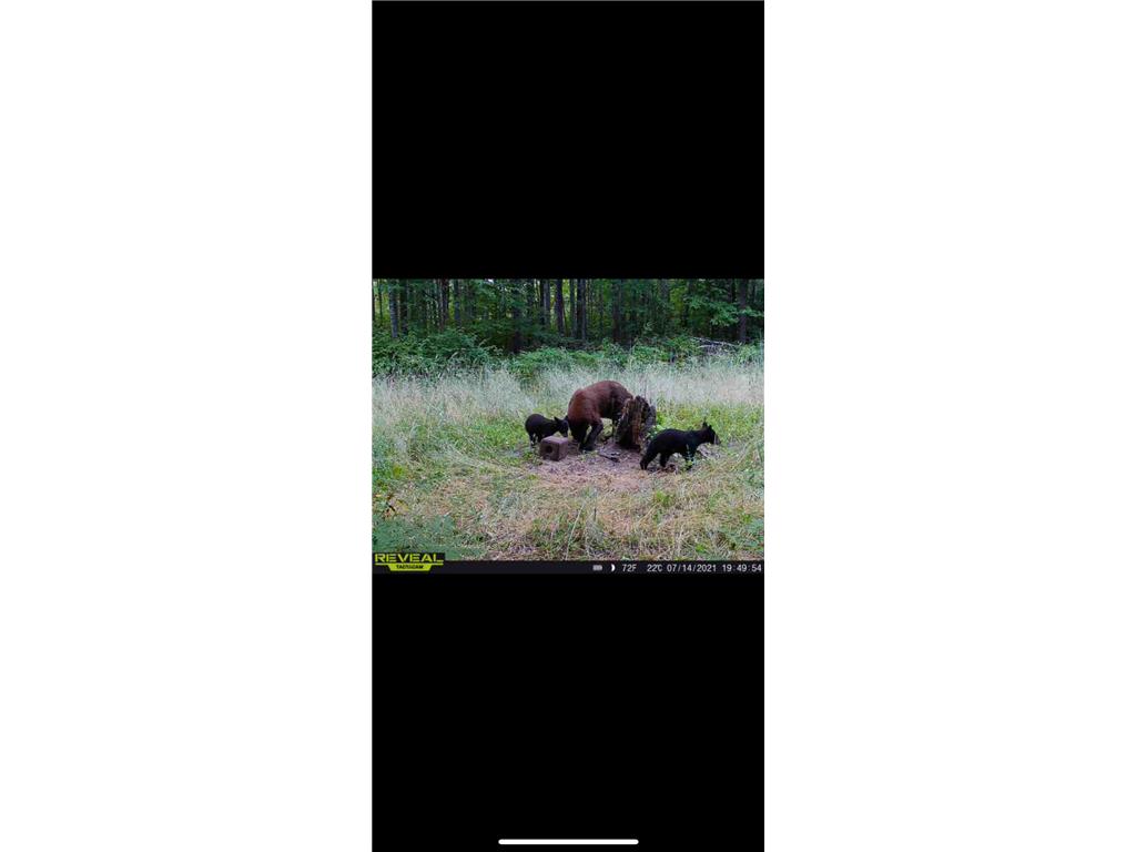 239 County 49 NW Ponto Lake Twp MN 56474 6822130 image91