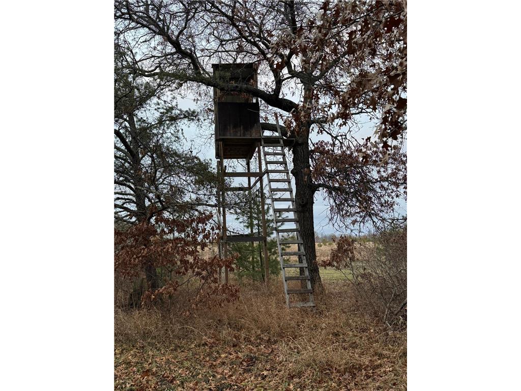 239 County 49 NW Ponto Lake Twp MN 56474 6822130 image94