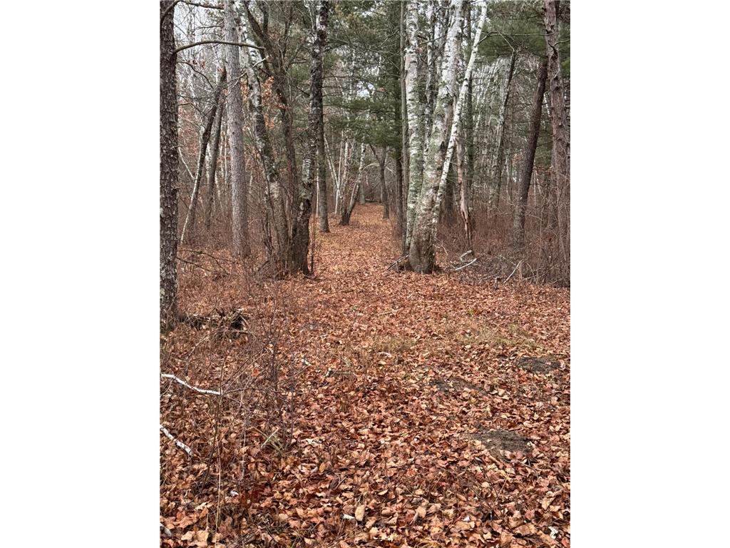 239 County 49 NW Ponto Lake Twp MN 56474 6822130 image98