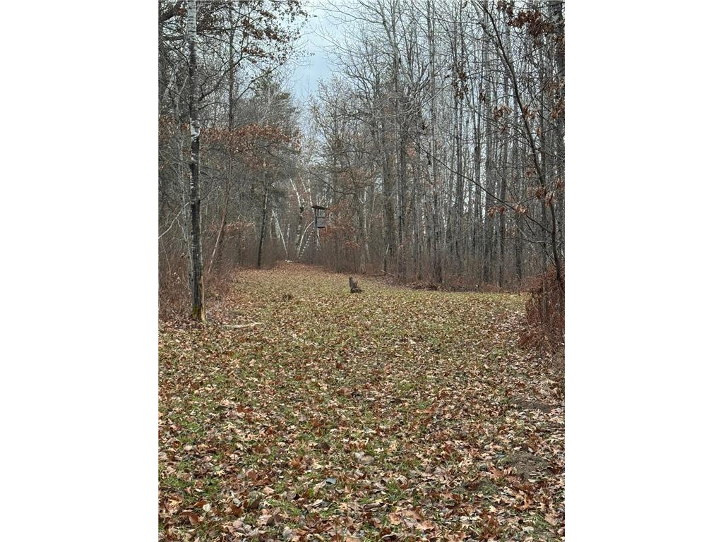 239 County 49 NW Ponto Lake Twp MN 56474 6822130 image99