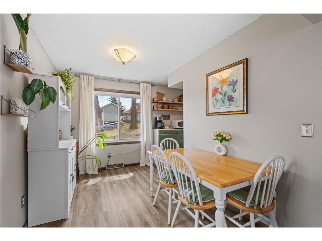 239 Highwood Drive Chaska MN 55318 7026037 image8