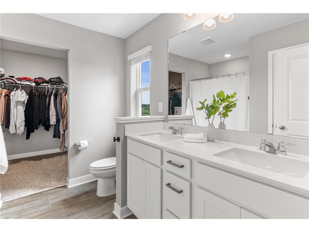 239 Snowdrop Trail Waconia MN 55387 7026912 image21