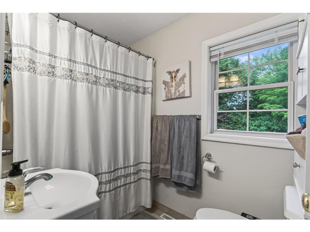 2390 Chateau Lane Mound MN 55364 7085671 image16