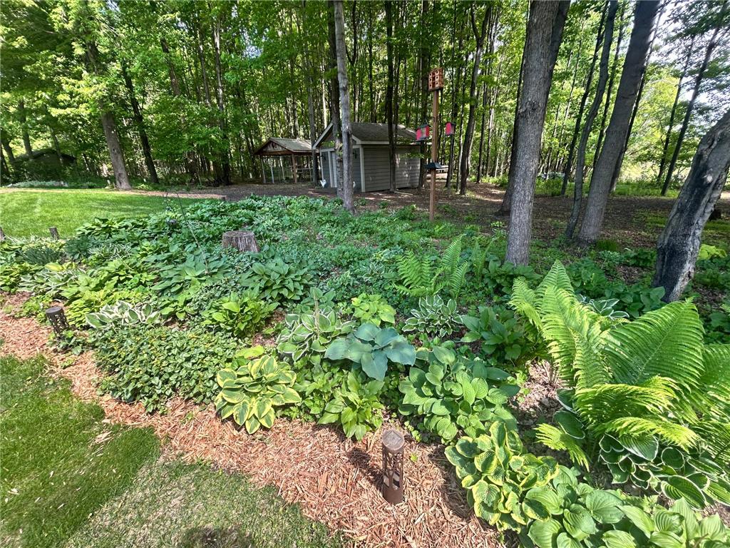 23901 Nebula Street NE Linwood Twp MN 55079 7077116 image13