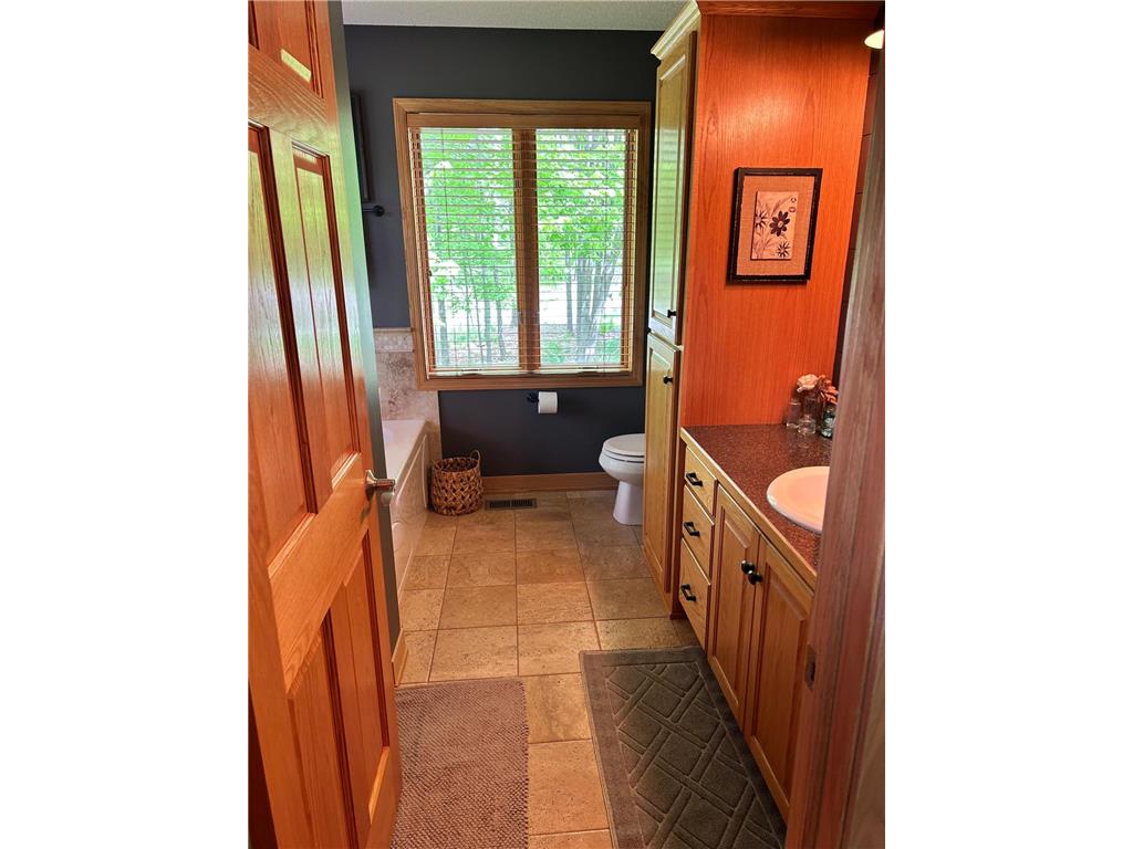 23901 Nebula Street NE Linwood Twp MN 55079 7077116 image29