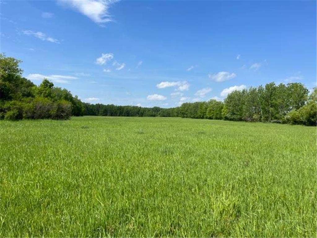 16XX Olympic Street Comfort Twp MN 55051 6377810 image1