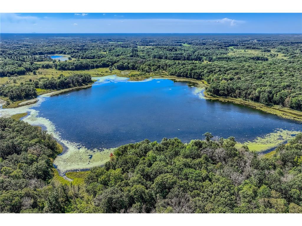 23966 98th Street NW Livonia Twp MN 55330 - Stone 7038099 image49