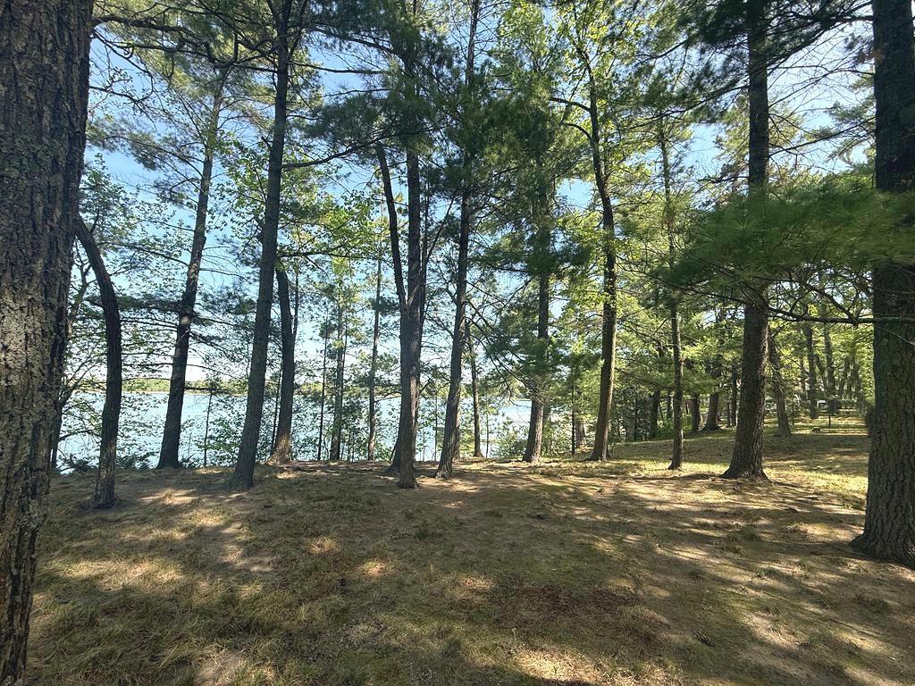 23976 County 80 Nevis MN 56467 - Belle Taine Lake 7085963 image21