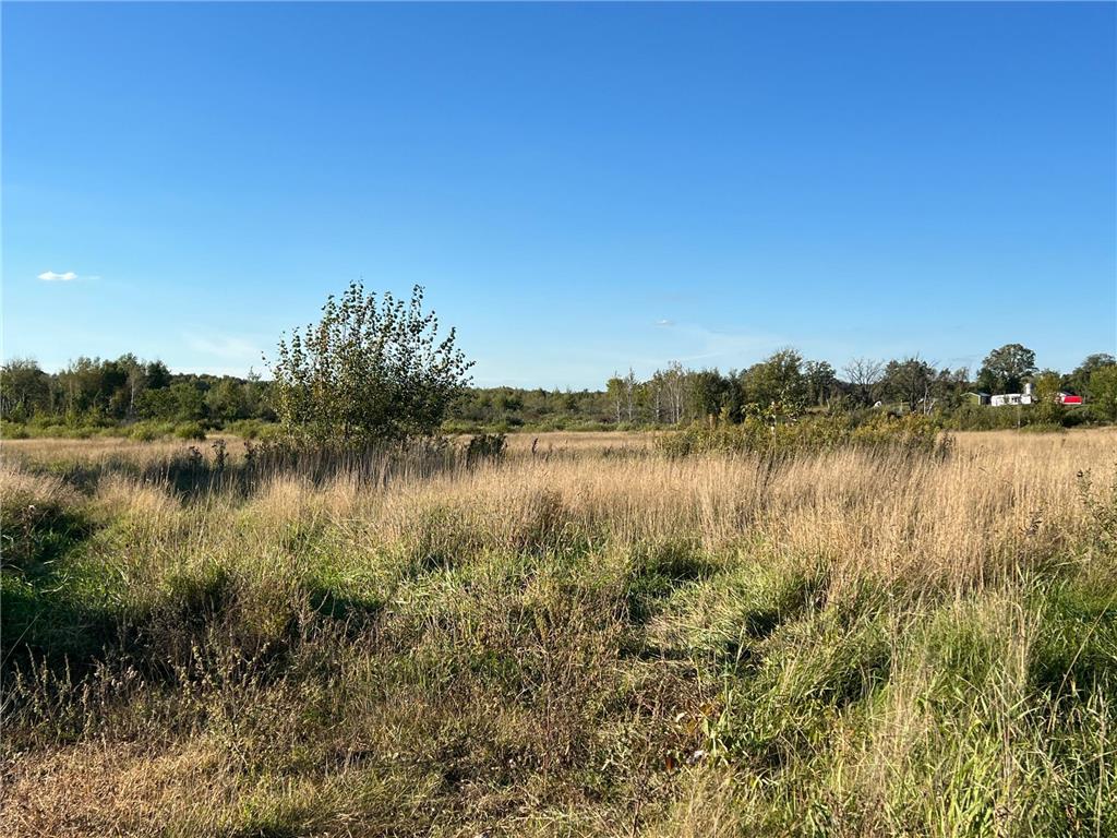 2398 280th Avenue Peace Twp MN 55007 6607273 image1