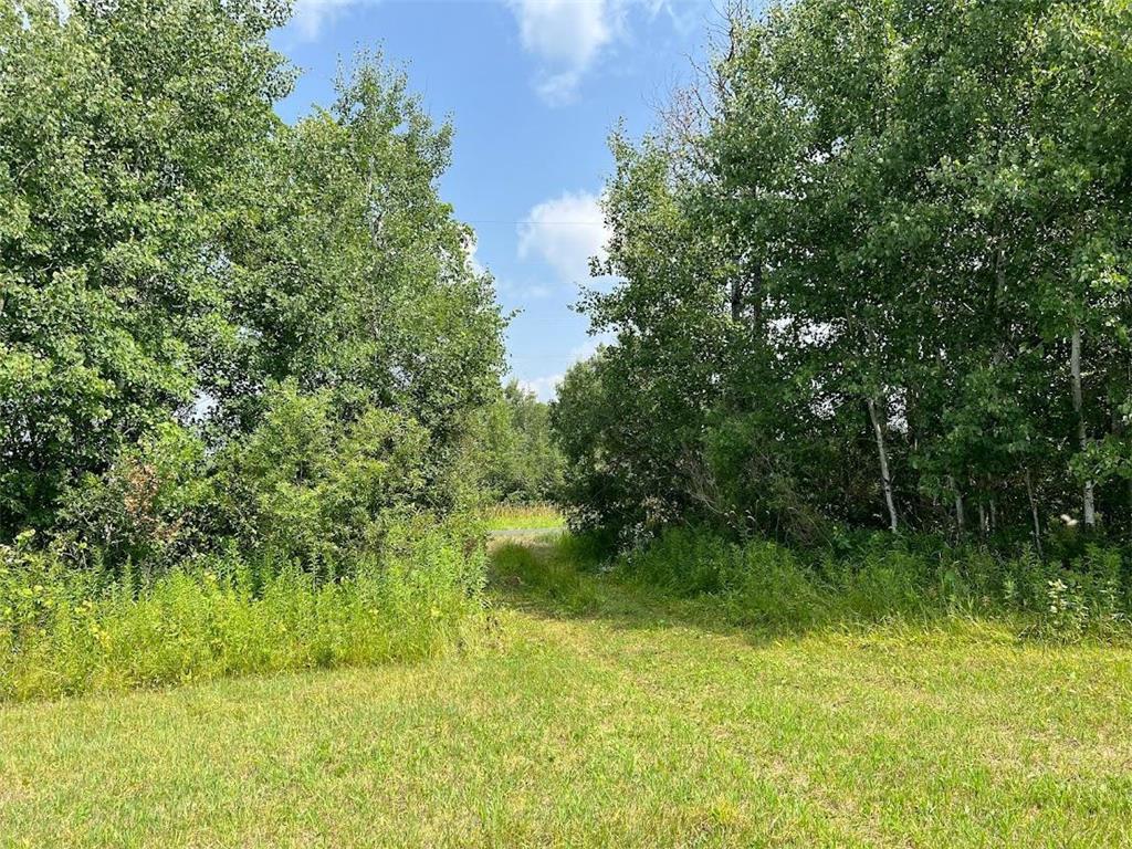 239XX Mudhen Lake Dr, Daniels Twp, WI, 54872 MLS 6449414 Edina Realty