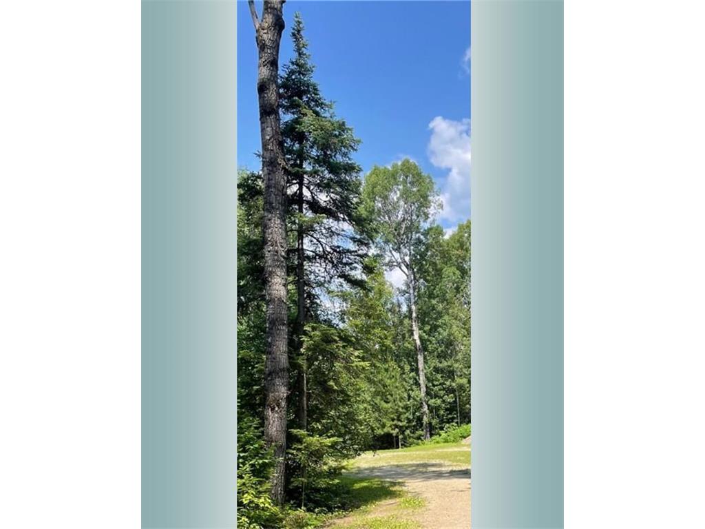 23XX Low Creek Road Ely MN 55731 - Shagawa Lake 7026868 image3