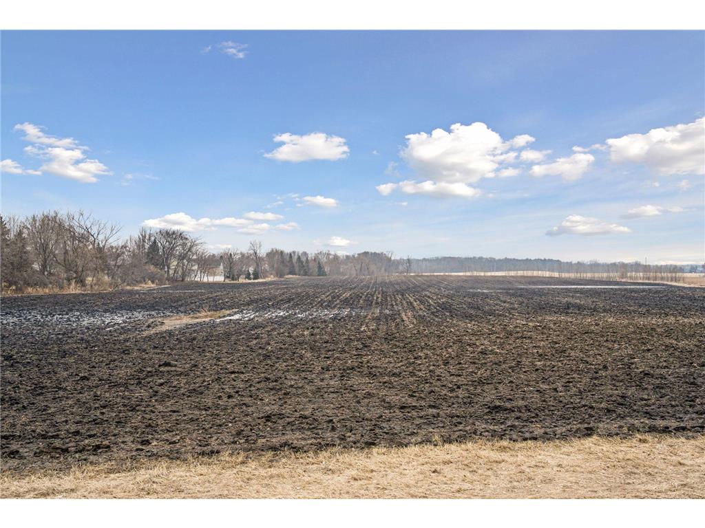 23x Medina Road Medina MN 55340 7033674 image3