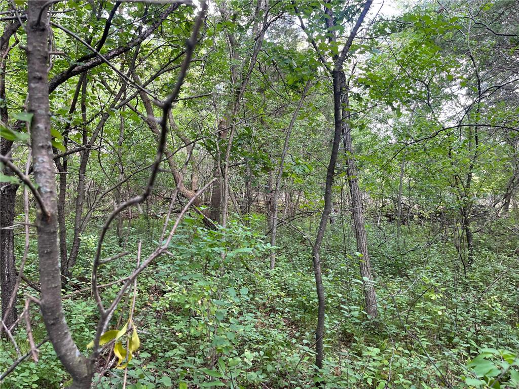 23xxx 182nd Street Big Lake MN 55309 6424945 image3