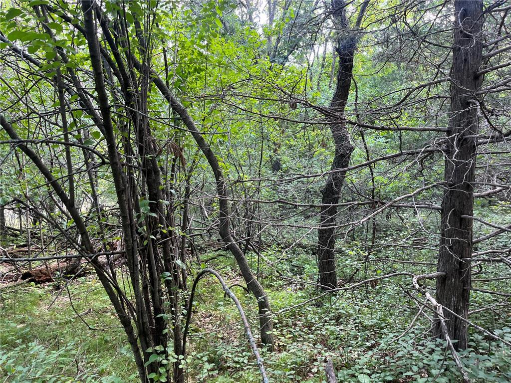 23xxx 182nd Street Big Lake MN 55309 6424945 image4