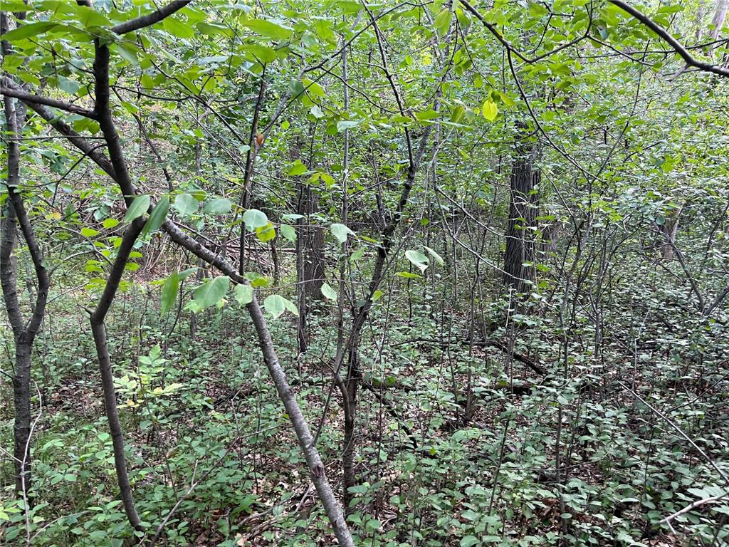 23xxx 182nd Street Big Lake MN 55309 6424945 image5