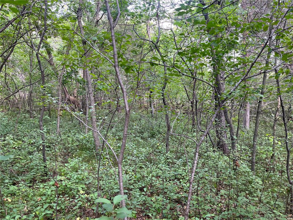 23xxx 182nd Street Big Lake MN 55309 6424945 image6