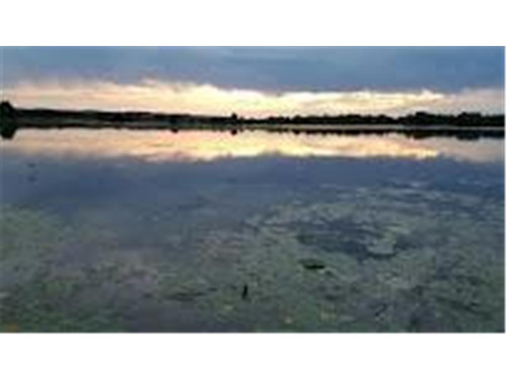 240 N State Road 35 Alma WI 54610 - Mississippi 6745290 image6